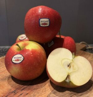 Appel Wellant (1,5 kg)